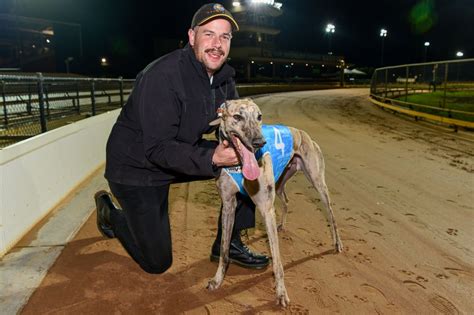 Geelong Greyhound Race Results .